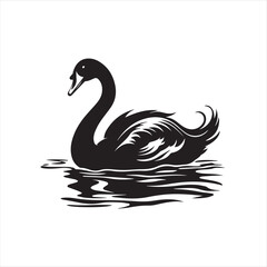 Fototapeta premium black swan on white background