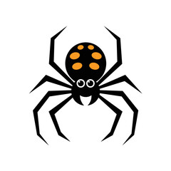spider on white background
