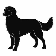 Hand-drawn golden retriever dog silhouette