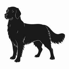 Hand-drawn golden retriever dog silhouette