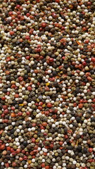 Peppercorns Mixed Closeup Textured Colorful Spices Culinary Ingredient Variety