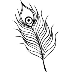 Obraz premium peacock feather isolated on white background