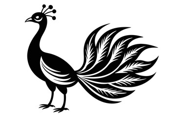 peacock with feathers silhouette on white background