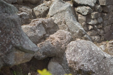 Shiva temple archaeological site on Mount Penanggungan