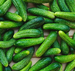 Cucumbers Fresh Organic Top View Green Healthy Crunchy Delicious Raw