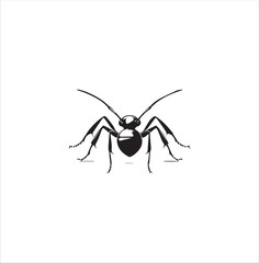ant, insect, macro, nature, animal, bug, black, closeup, ants, isolated, small, antenna, spider, leaf, formica, leg, white, close-up, close up, jaw, garden, red, fauna