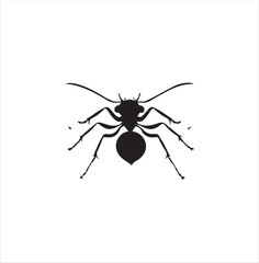 ant, insect, macro, nature, animal, bug, black, closeup, ants, isolated, small, antenna, spider, leaf, formica, leg, white, close-up, close up, jaw, garden, red, fauna