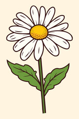 A simple drawing of a white daisy with green leaves.