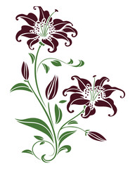 Elegant burgundy lilies with green leaves, a classic floral illustration.