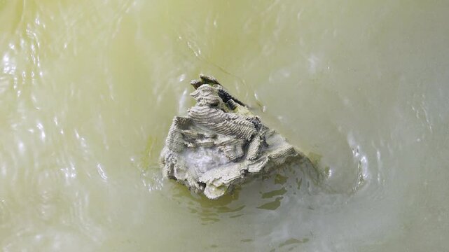 Water erosion of wood, destruction the annual rings. Water with a salinity of tens of ppm has been stained wood for 40 years
