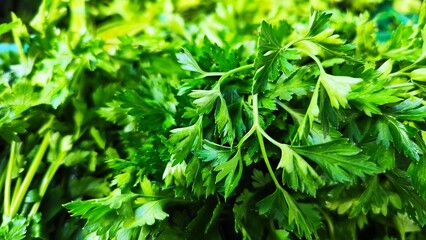 green grass in market background