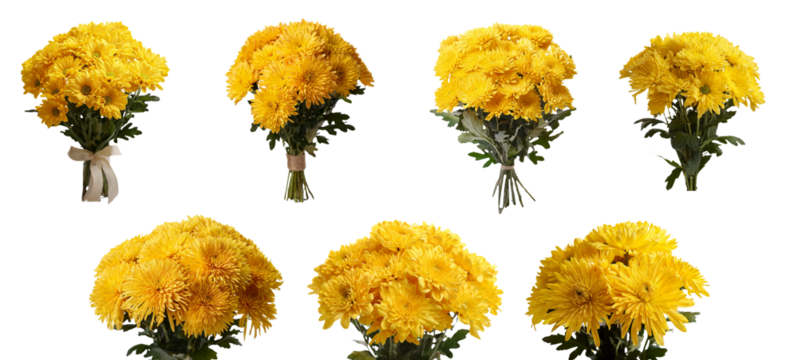Bright yellow flower bouquets arranged elegantly on a white background.