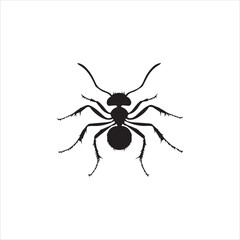 ant isolated on white background