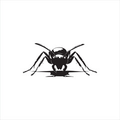 ant isolated on white background