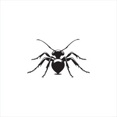 ant isolated on white background