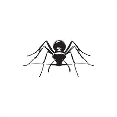 ant isolated on white background