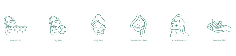 Normal, Dry, Oily Skin, Combination Skin, Acne-Prone Skin, Sensitive Skin Icon Set