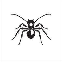 ant isolated on white background