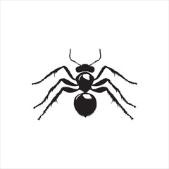 ant isolated on white background