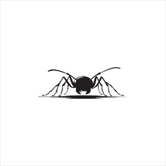 ant isolated on white background