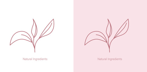 Natural Ingredient Skincare Product Vector Icon