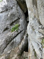 The karst source of the Soča river, Trenta (Triglav National Park, Slovenia) - Die Karstquelle des Flusses Soca, Trenta (Triglav-Nationalpark, Slowenien) - Kraški izvir reke Soče, Trenta (Slovenija)