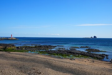 fine seaside view with mossy rocks