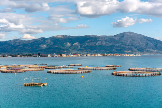 Floating circular fish farms on the sea of Greece