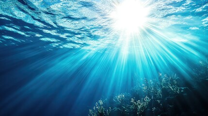 Obraz premium Clear blue underwater view with sunlight penetrating the water near South America. Plenty of space for text.