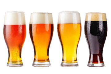 Craft beer served in a glass with a frothy head, alongside a wooden barrel and barley, set against a white isolated background.