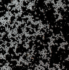 Balls of air on the surface of the water as a background. Macro