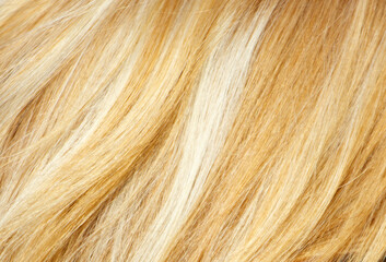 Naklejka premium The hair is blonde and has a wavy texture