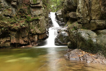 waterfall in the forest