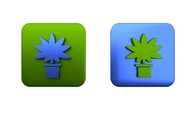 Colorful Medical marijuana or cannabis plant in pot icon isolated on white background. Marijuana growing concept. Hemp potted plant. Square button. 3D render illustration