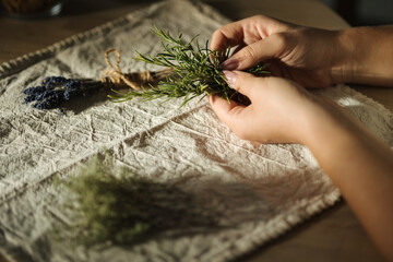 Female hand uses natural twine to tie rosemary sprigs. Preparing fresh herbs for drying and spice use