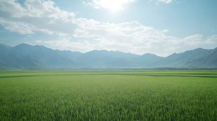 Fototapeta premium Lush green rice field under bright sky with distant mountains