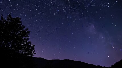 Naklejka premium constellations and stars in the night sky with twinkling lights above dark forest