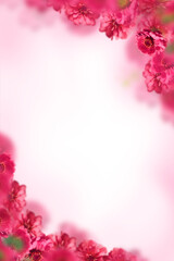 flower pattern design frame background