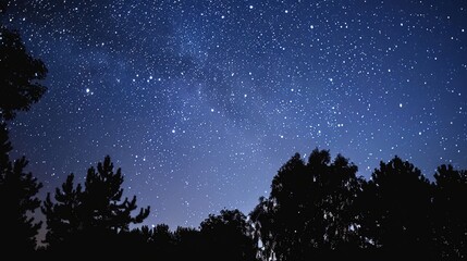 Fototapeta premium constellations and stars in the night sky with twinkling lights above dark forest