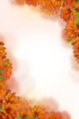 flower pattern design frame background