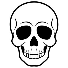 human skull on white background