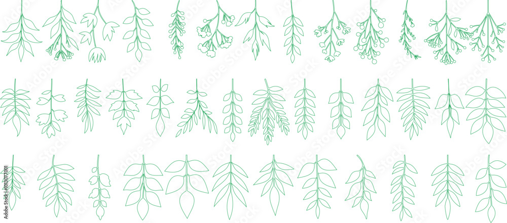 Wall mural botanical leaf line art vector featuring minimalist foliage illustrations. includes various leaf typ