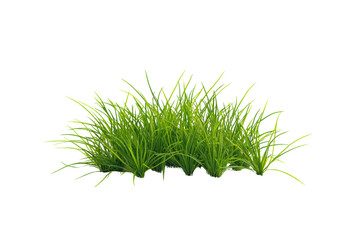 Fototapeta premium Lush green grass cluster on a white isolated background, perfect for landscaping and garden design concepts.