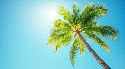 lush green palm tree swaying gently against a clear blue sky on a tropical beach
