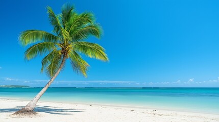 lush green palm tree swaying gently against a clear blue sky