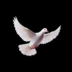 Majestic Dove in Flight A Symbol of Divine Grace and Peace