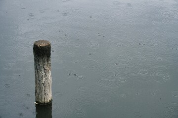 秋雨の公園風景