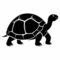 Turtle Illustrations High Quality Wildlife Graphics for Creative Projects