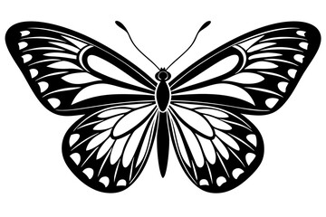 butterfly vector