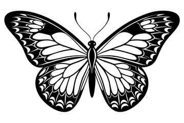 butterfly illustration.